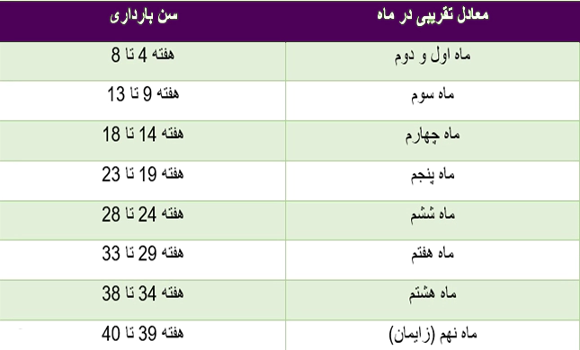 محاسبه ماه های بارداری